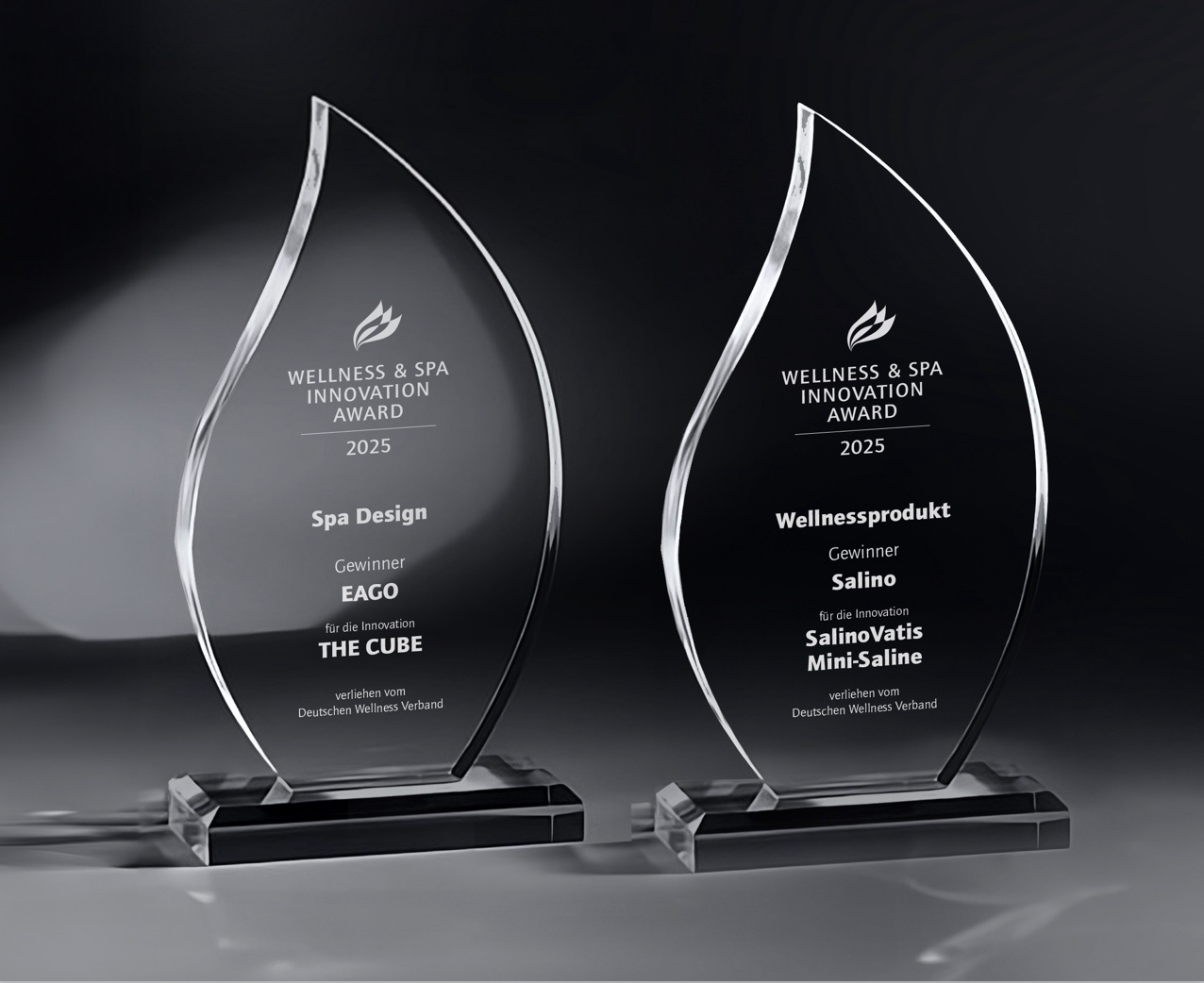 Wellness & Spa Innovation Awards 2025 - wellnessverband