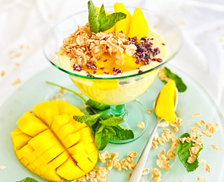 Wellness-Genuss Kokos Mango Dessert